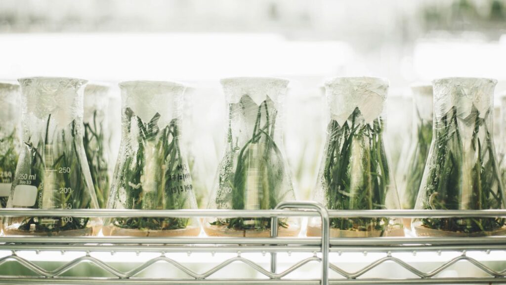 Alimentación e inteligencia artificial, ¿de qué va?