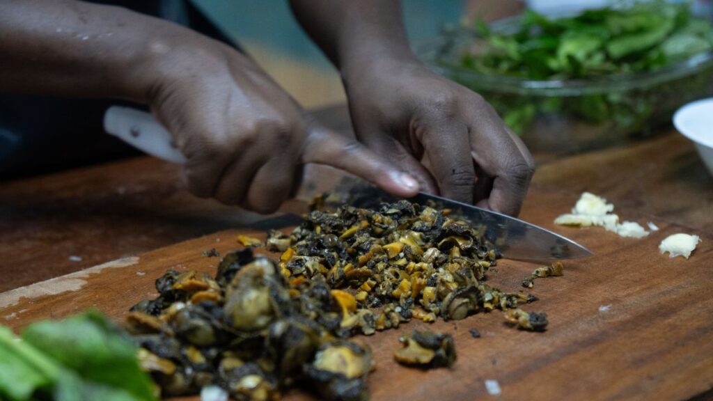 Las mujeres del manglar colombiano: recolectoras de un sabor ancestral