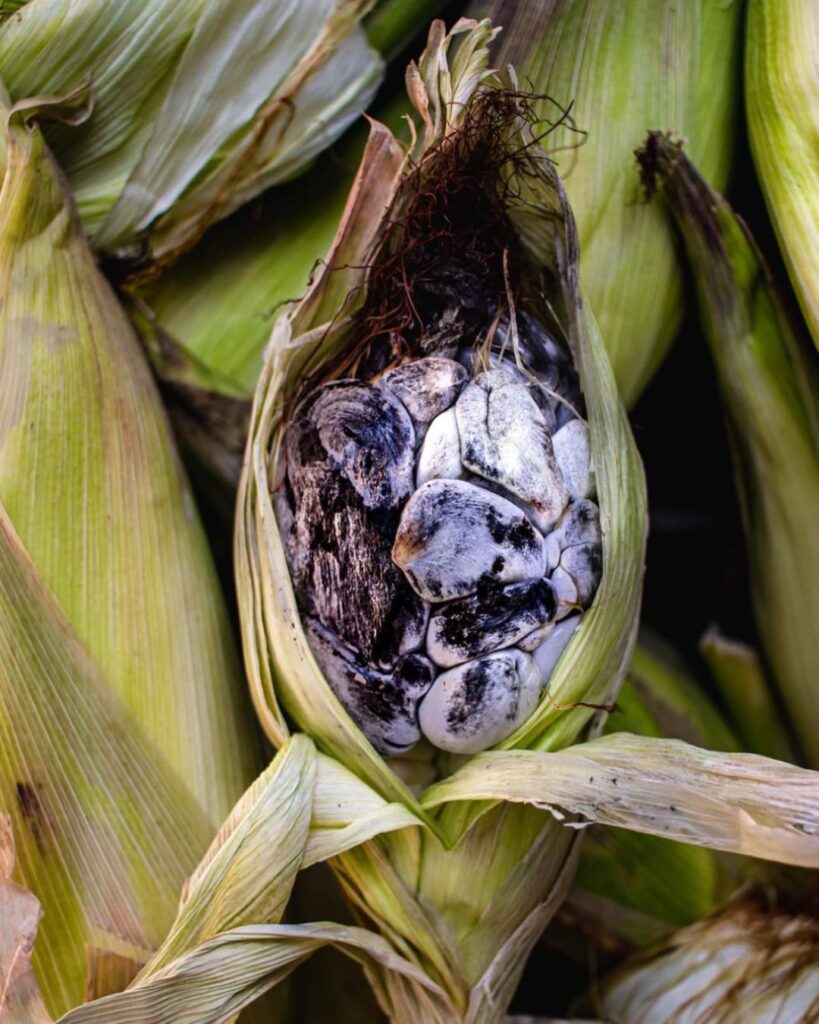 Marsia Taha la mejor chef de Latinoamérica y la biodiversa culinaria boliviana