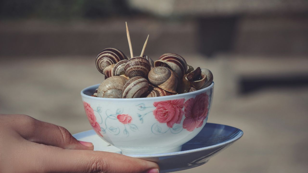 Por qué un granjero vienés afirma que los caracoles son la proteína del futuro