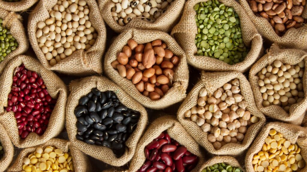 Proteína vegetal: ¿qué es y dónde puedo encontrarla?