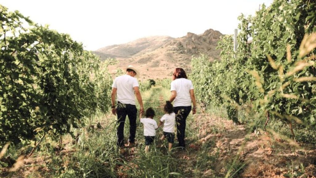 Vinos de Armenia: entre los más interesantes del mundo