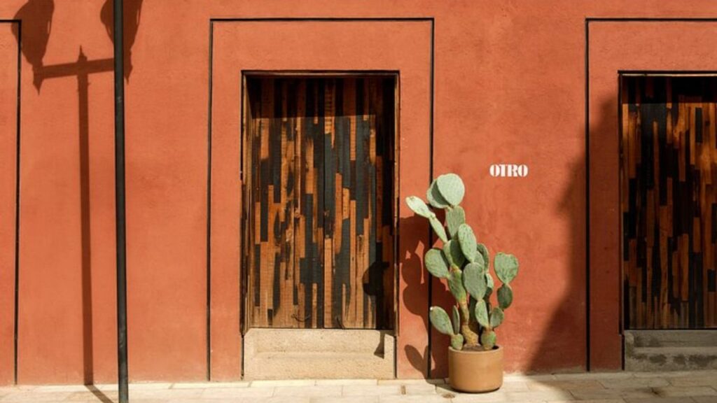 Otro Oaxaca: un oasis en el corazón de la ciudad