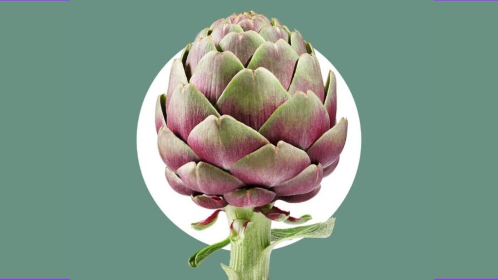 Alcachofa: te decimos cómo cocinar este ingrediente primaveral