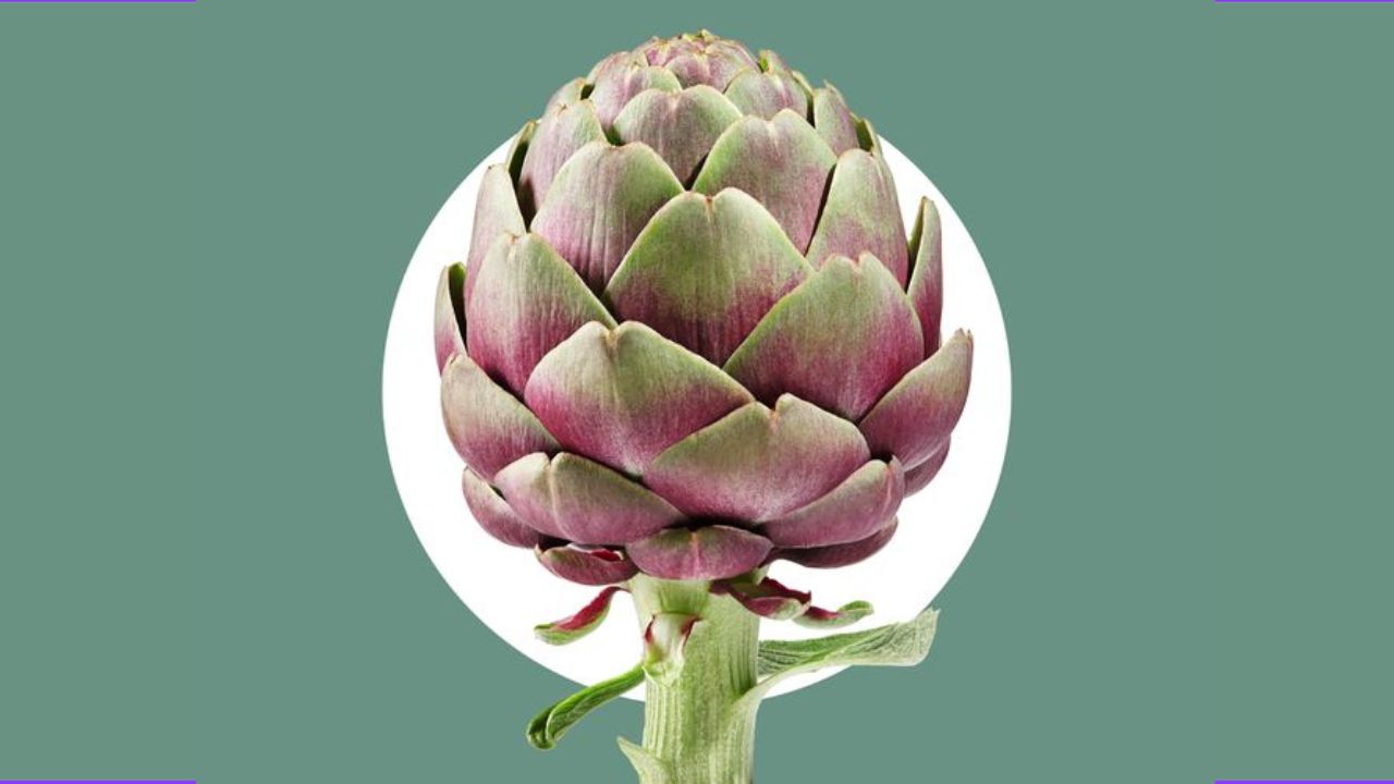 Alcachofa: te decimos cómo cocinar este ingrediente primaveral