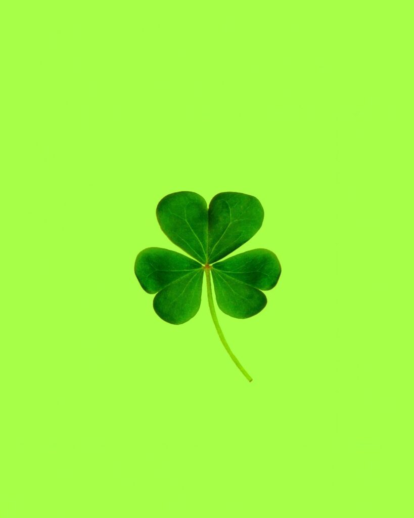 5 cosas que no sabías sobre la cerveza verde en el Día de San Patricio