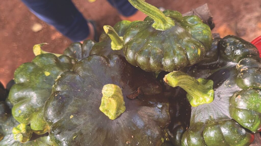 Ingredientes mexicanos en peligro de extinción