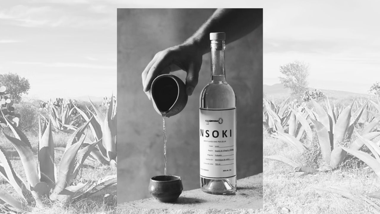 Nsoki: el destilado de pulque que busca recuperar una bebida milenaria Nsoki: el destilado de pulque que busca recuperar una bebida milenaria
