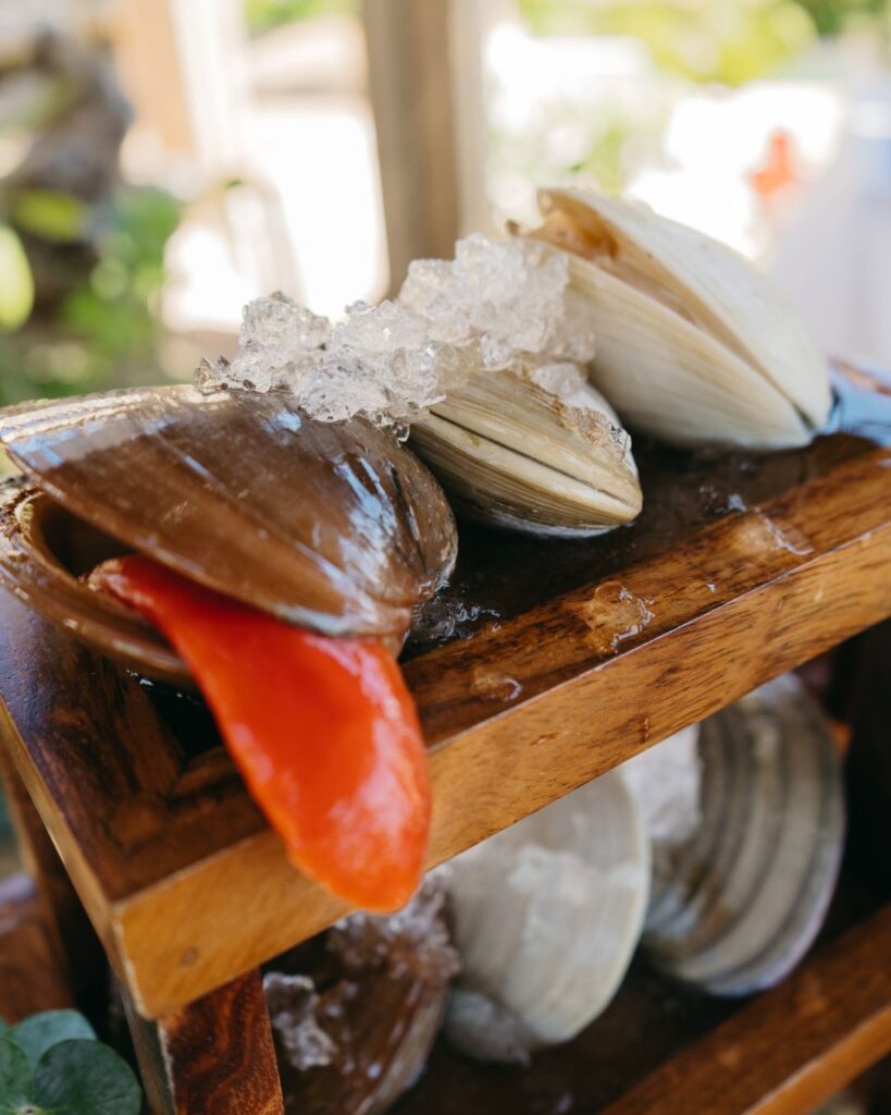 Así se vivió el Festival Tierra y Sal en Mazatlán