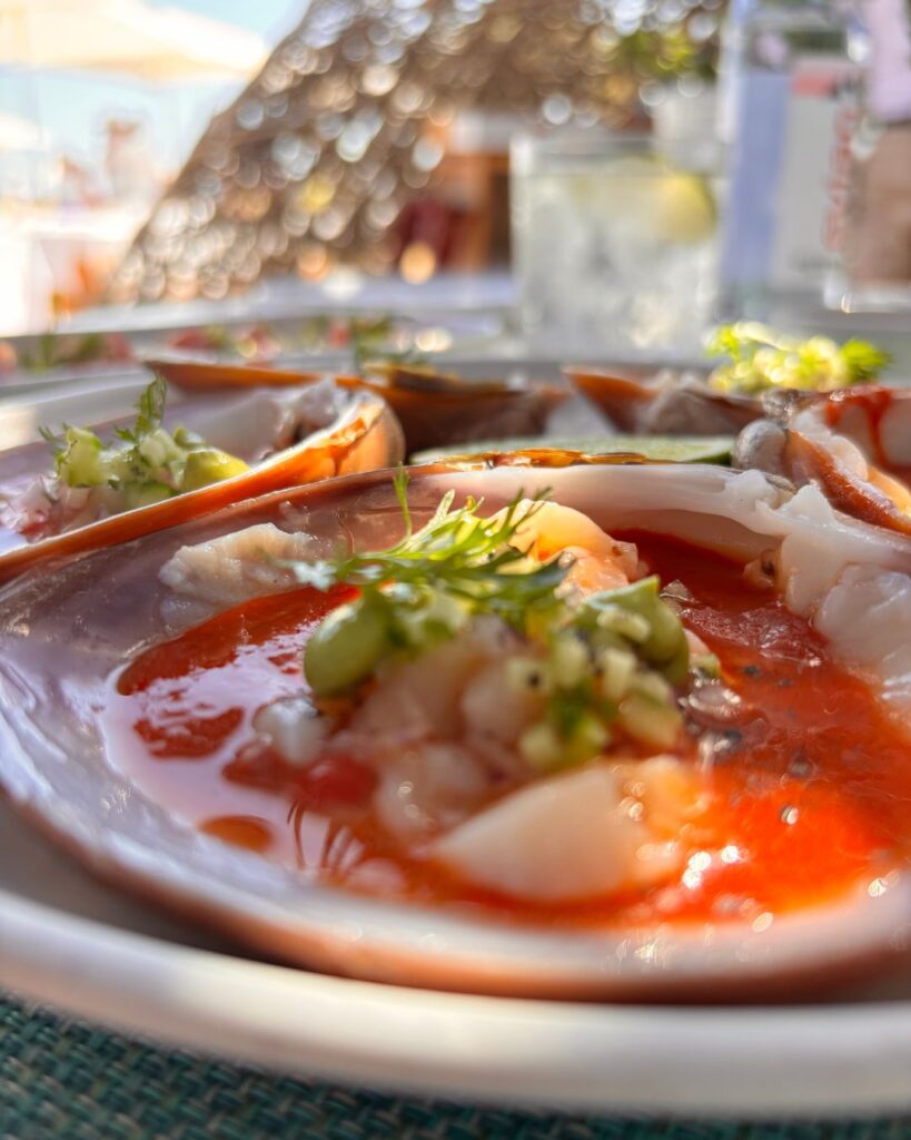 Bitácora del Paladar: ¿Comer o tocar playa?