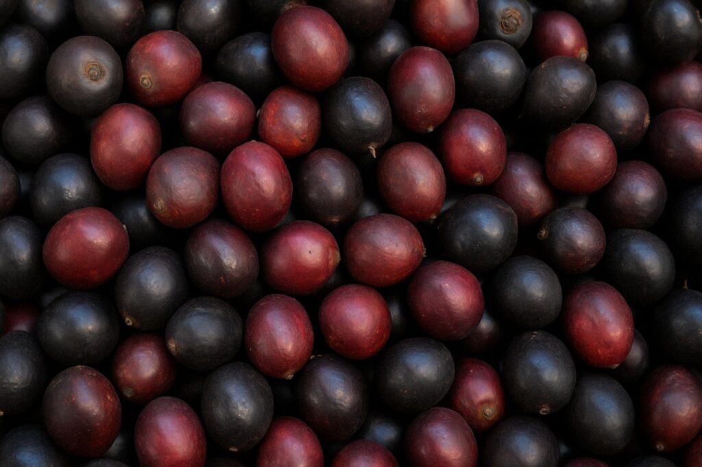 Corozo, el fruto tropical que conquista paladares: 5 formas deliciosas de prepararlo