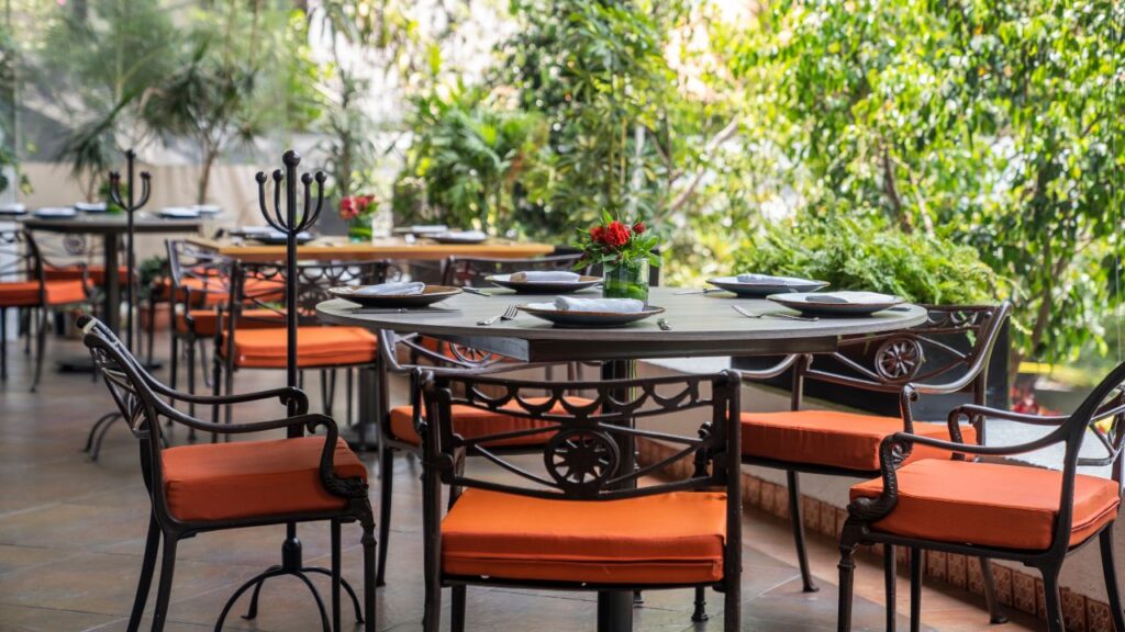 El Tajín, un clásico de Coyoacán en constante evolución