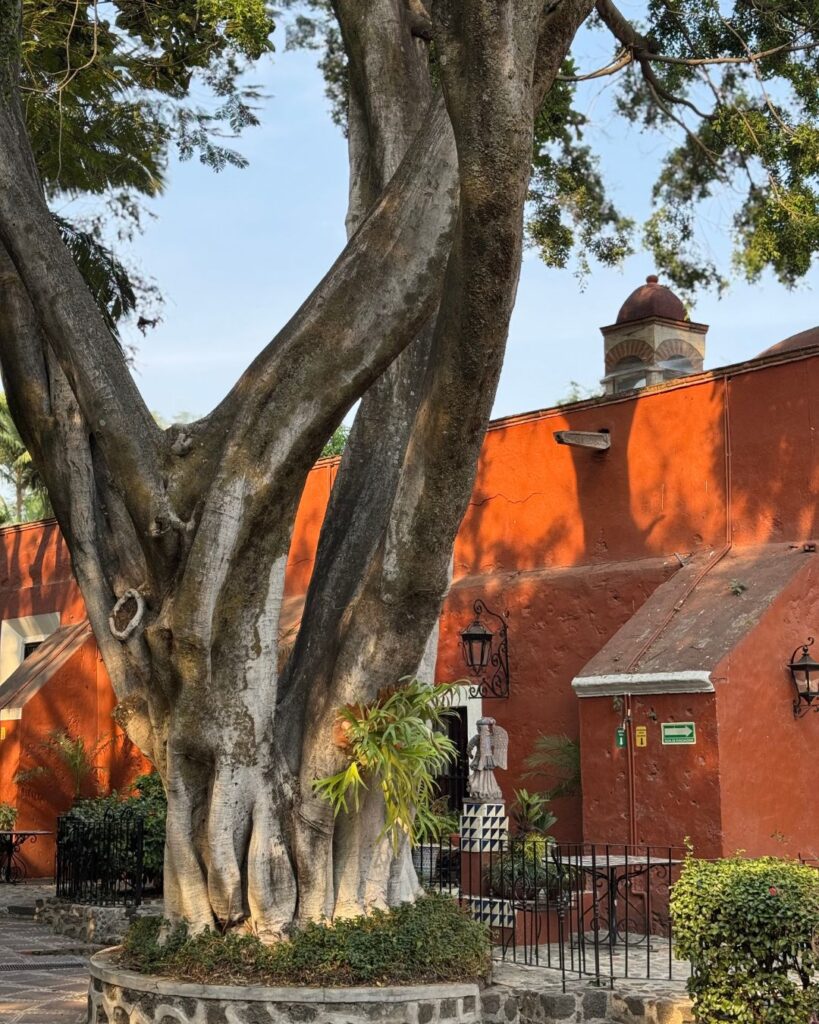 Cuernavaca: la ciudad de la eterna primavera se reinventa