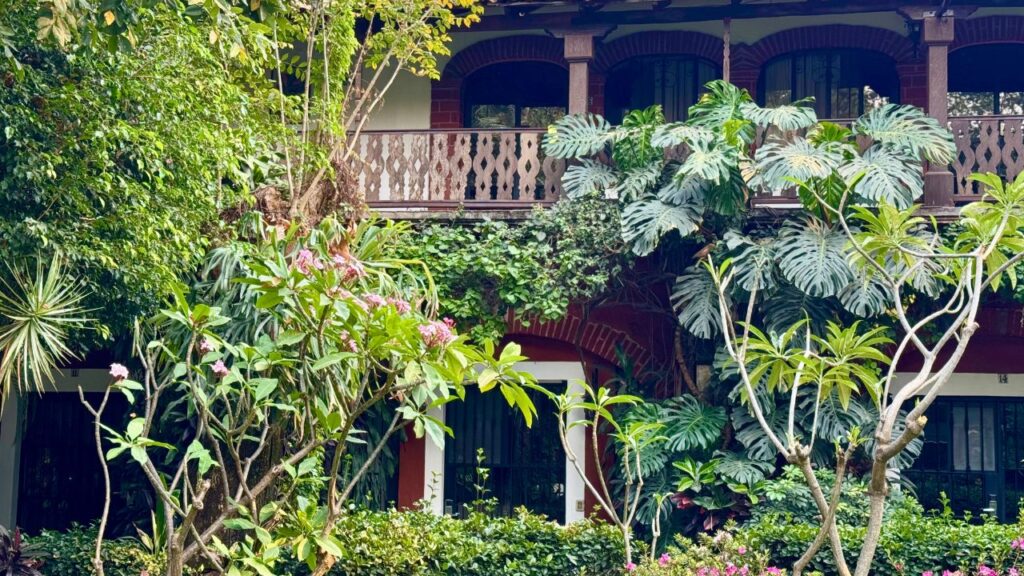 Cuernavaca: la ciudad de la eterna primavera se reinventa