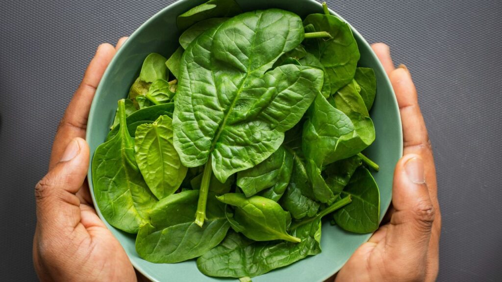 Usos culinarios y beneficios nutricionales de las espinacas