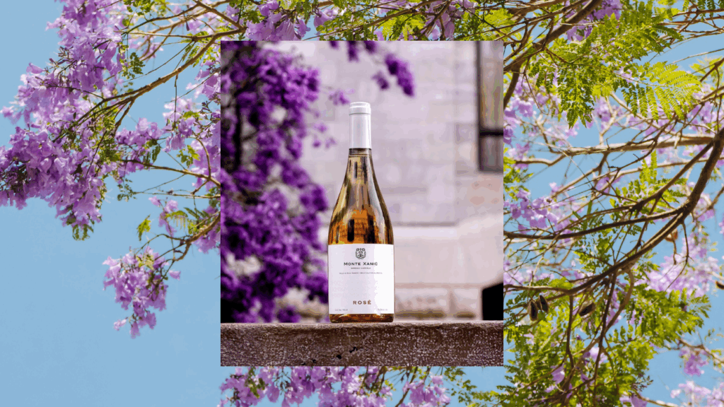 Monte Xanic Rosé 2023: frescura y elegancia desde el Valle de Ojos Negros