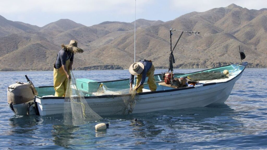 #PescaConFuturo abre la puerta a oportunidades únicas en la economía azul