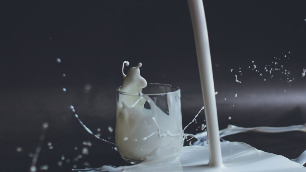 ¿Es buena la leche? Hablemos de su consumo y otras alternativas