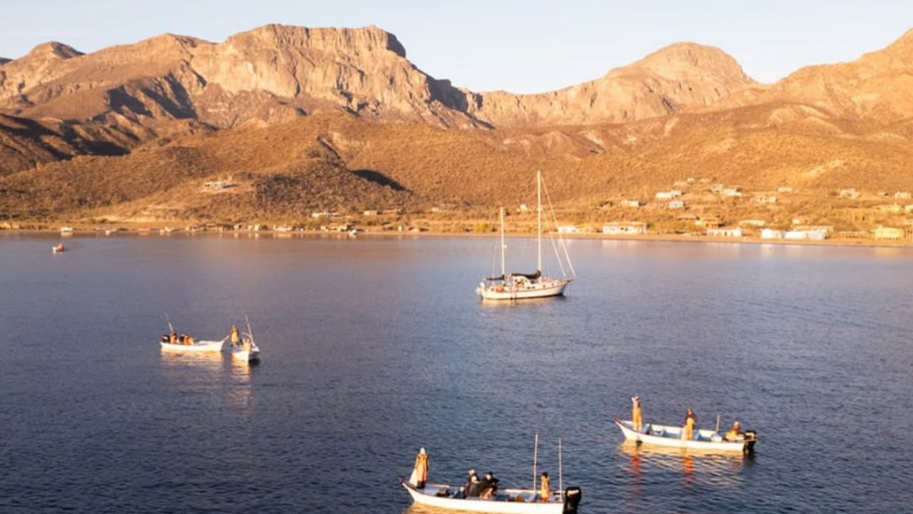 Sé parte del “Día de los Océanos y la Gastronomía Sostenible” con #PescaConFuturo