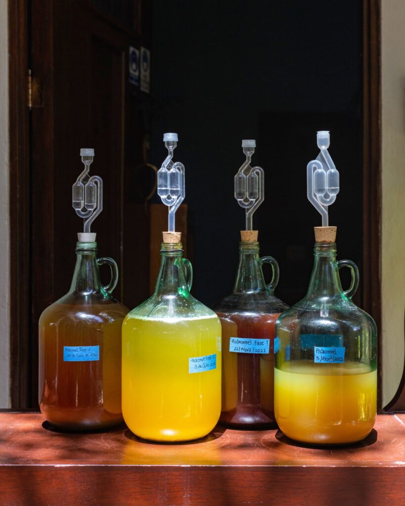 Izel: fermentos y exploración de territorios veracruzanos en Mérida