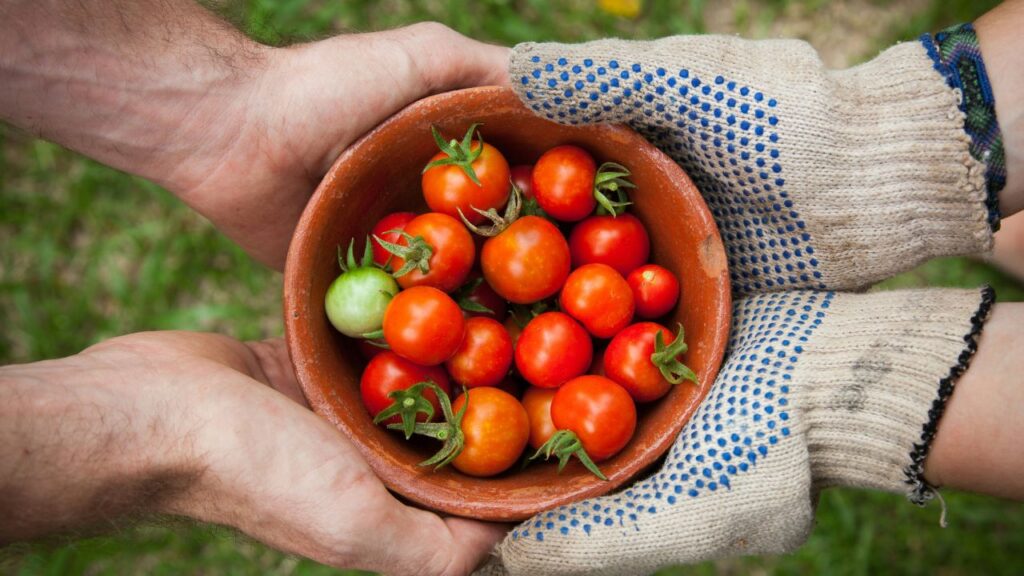 ADM: liderazgo y soluciones para un futuro alimentario seguro
