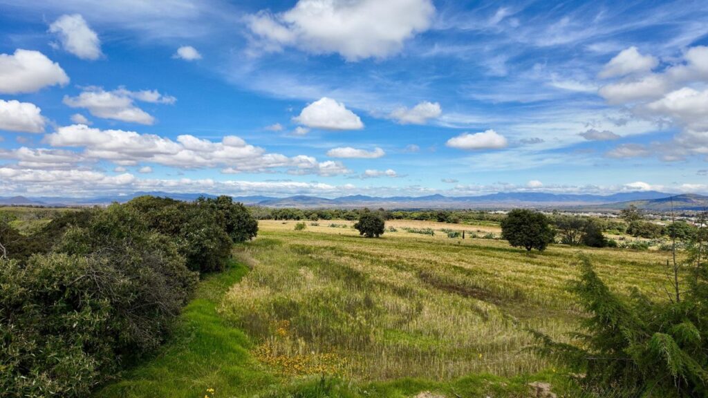 Tlaxcala: riqueza gastronómica y espectáculo natural