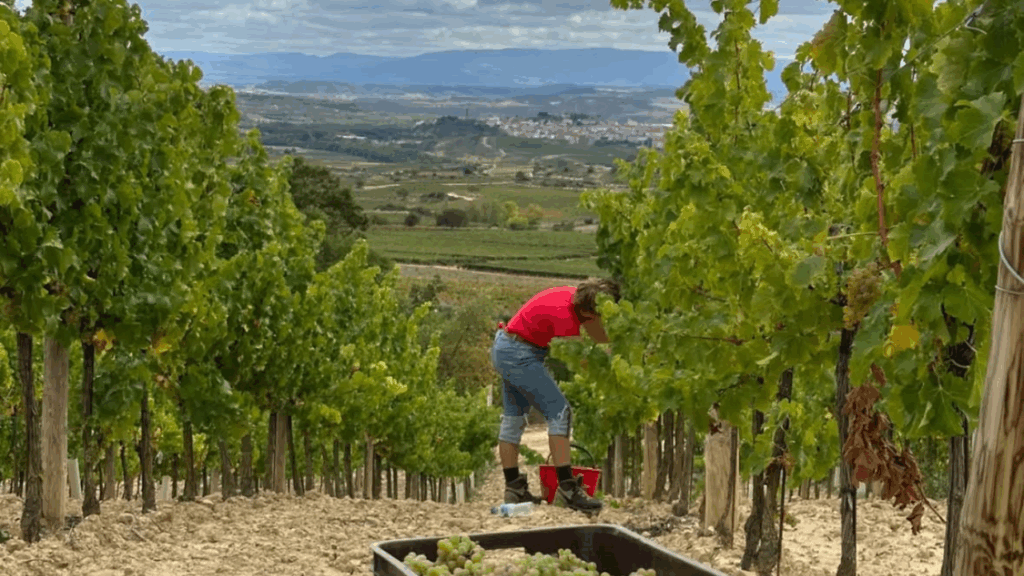 Rioja extraordinaria