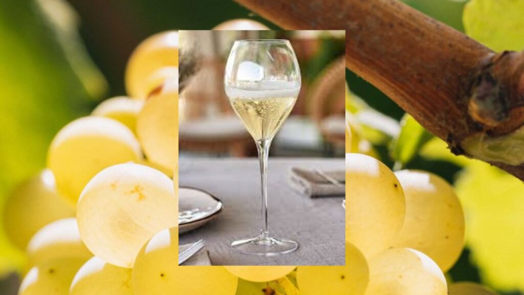 #CavaDay: 5 recomendaciones del sommelier Alberto Nacif