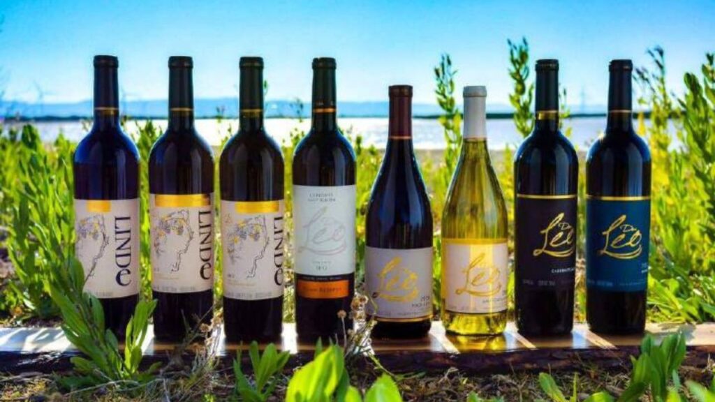 Vinos Don Leo: joyas del vino mexicano