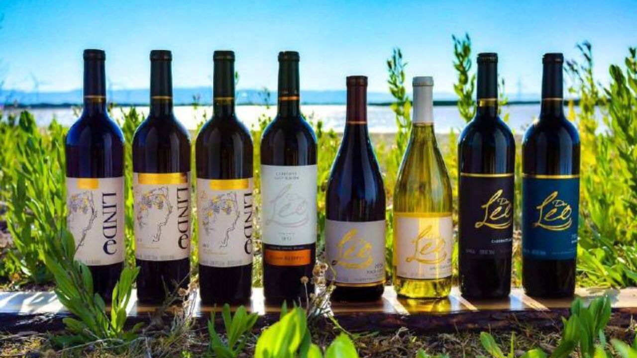 Vinos Don Leo: joyas del vino mexicano