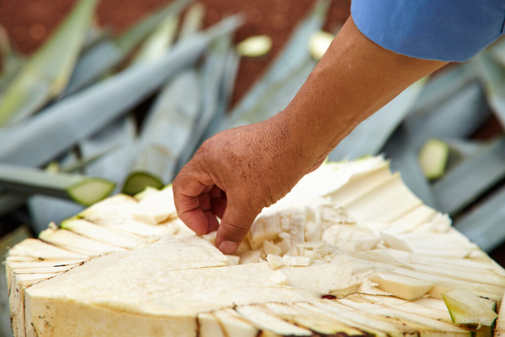 Brinda por el Día Internacional del Tequila con este cóctel