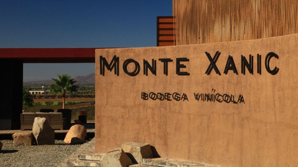 Una nueva expresión del terroir: Monte Xanic lanza Syrah 100% orgánico