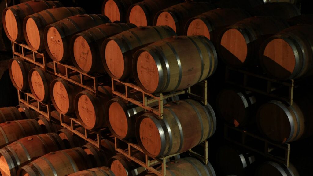 Una nueva expresión del terroir: Monte Xanic Syrah 100% orgánico