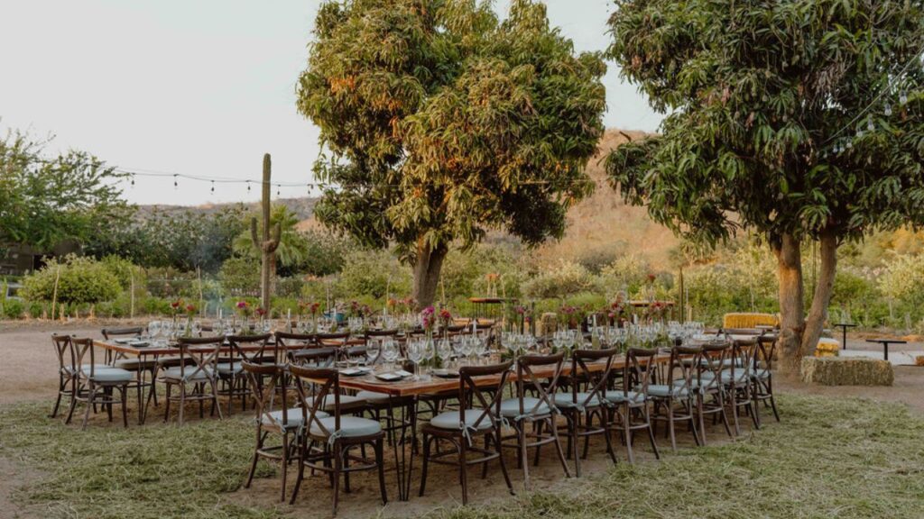 Casa Madero y Acre celebran el origen entre sabores del huerto 