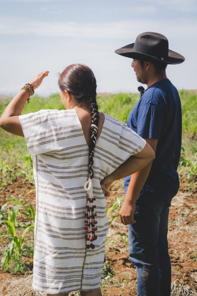El ecosistema milpa inspira el nuevo menú de Tierra del Sol 