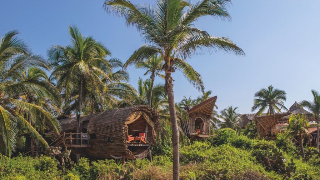 Playa Viva: auténtico turismo sostenible