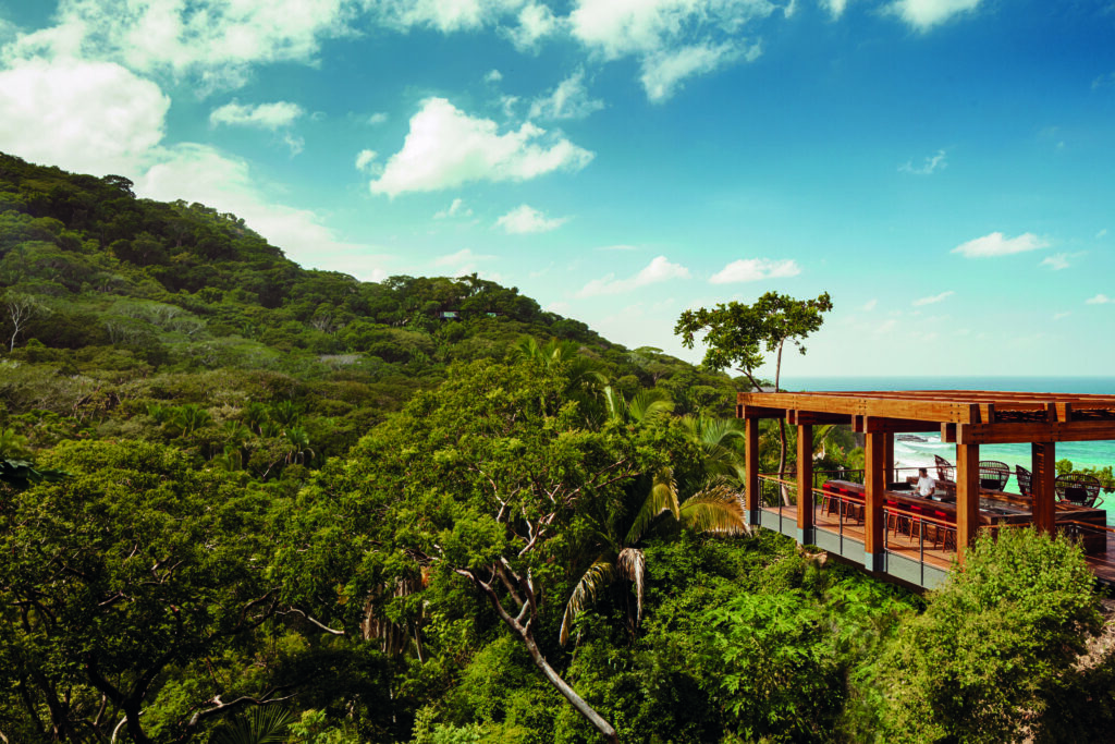 The Treetop, hogar de los deseos