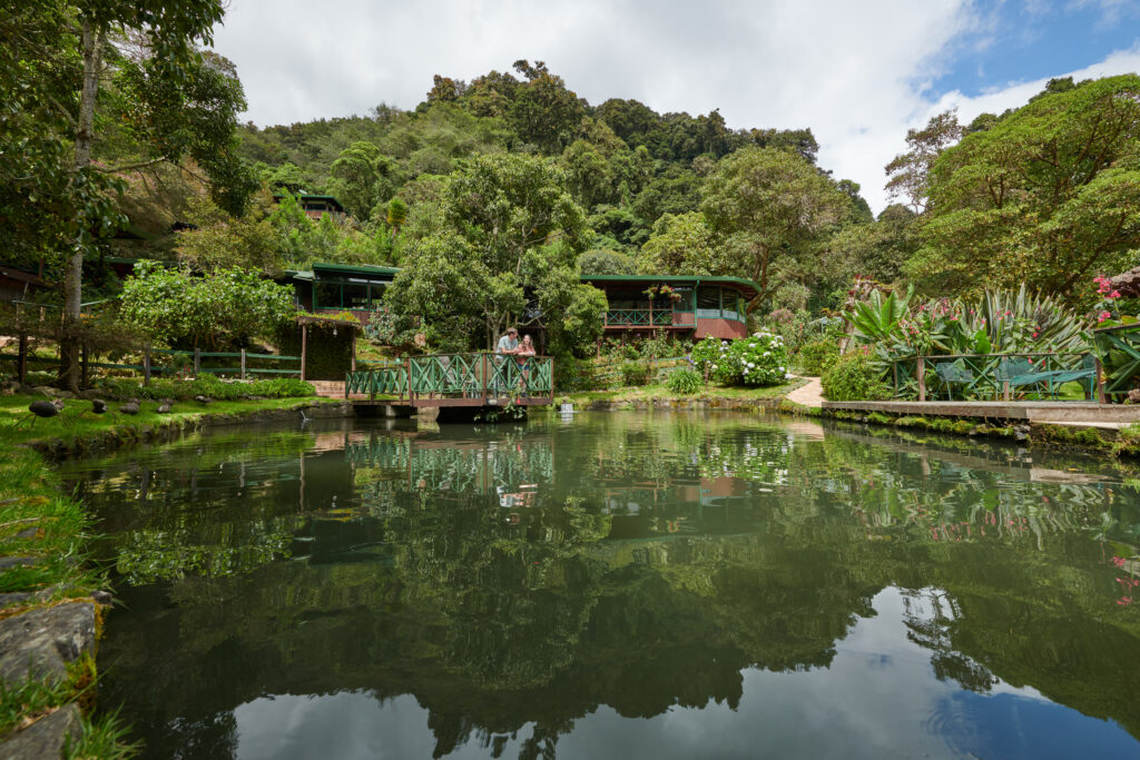 7 hoteles únicos para disfrutar de la gastronomía costarricense en tu próxima visita