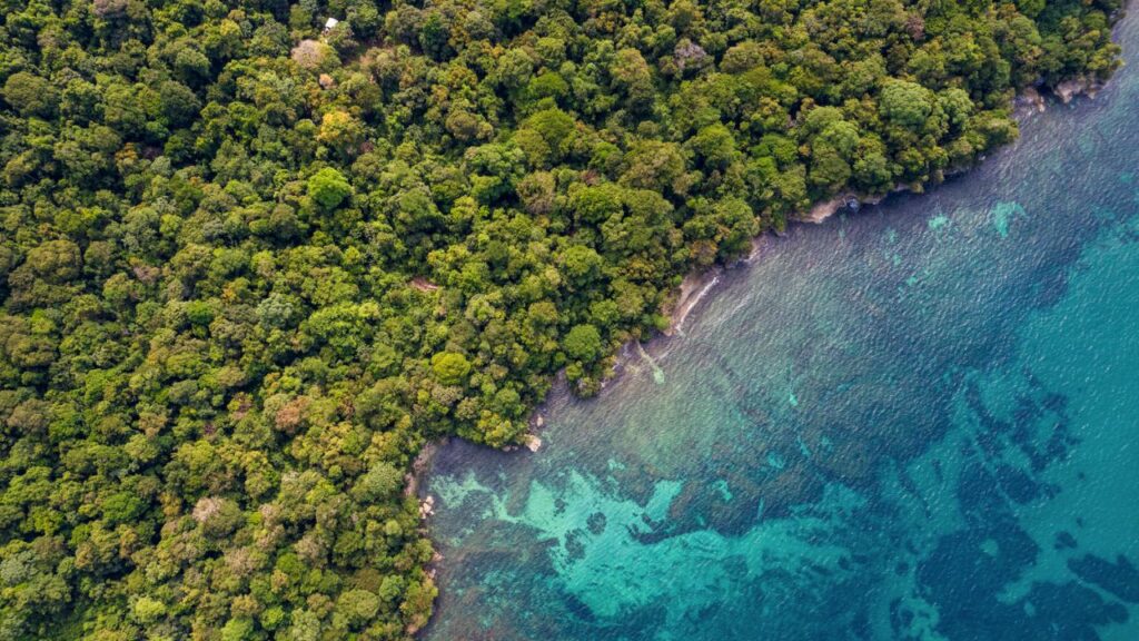 7 hoteles únicos para disfrutar de la gastronomía costarricense en tu próxima visita
