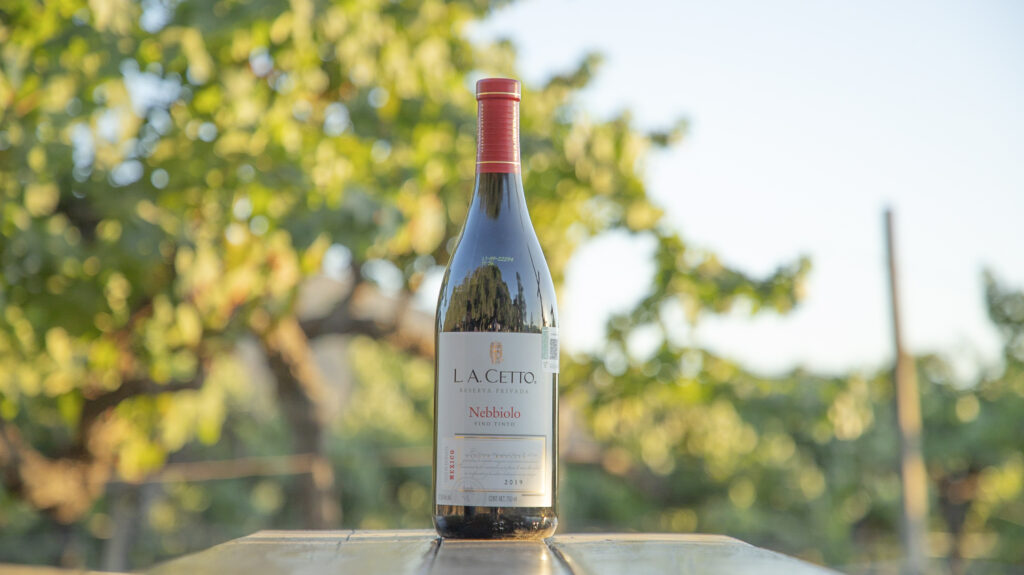 Bodegas Cetto: el vino mexicano más premiado continúa conquistando el mundo 