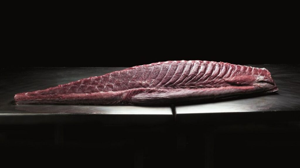 El mundo del punto (en el pescado) 