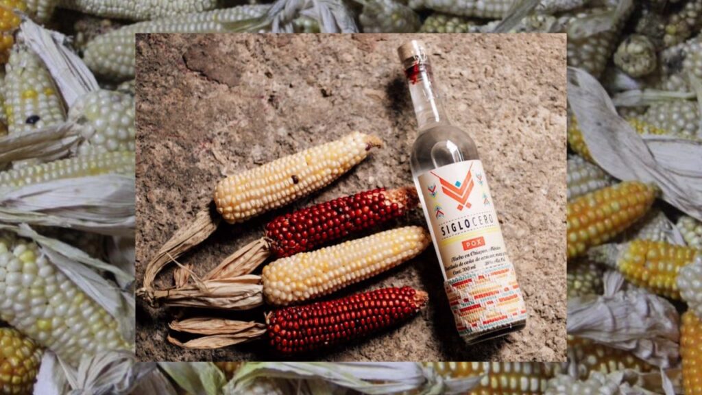 Siglo Cero: cultura y sabores que trascienden
