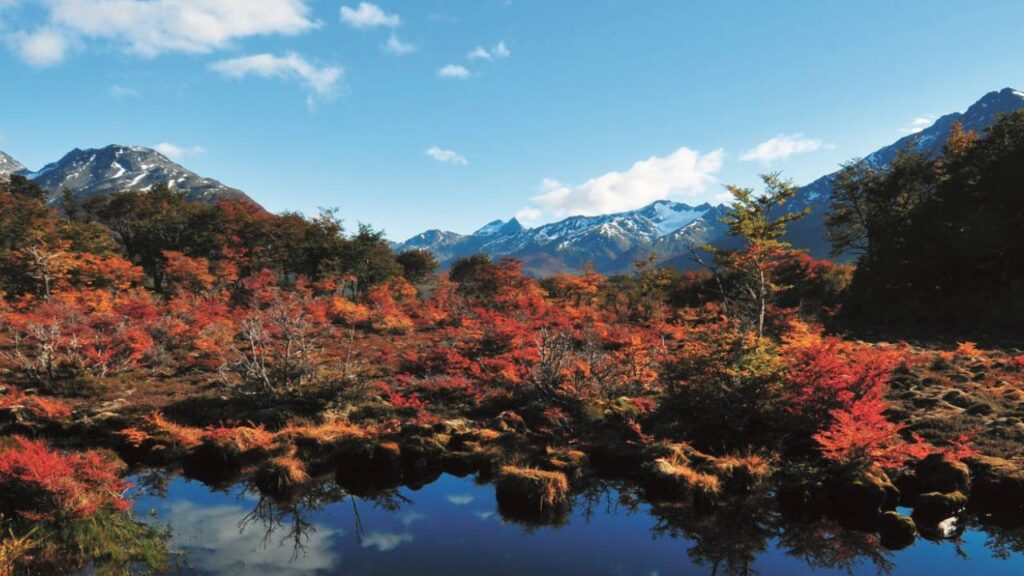 Ushuaia : donde la tierra termina y el alma despierta