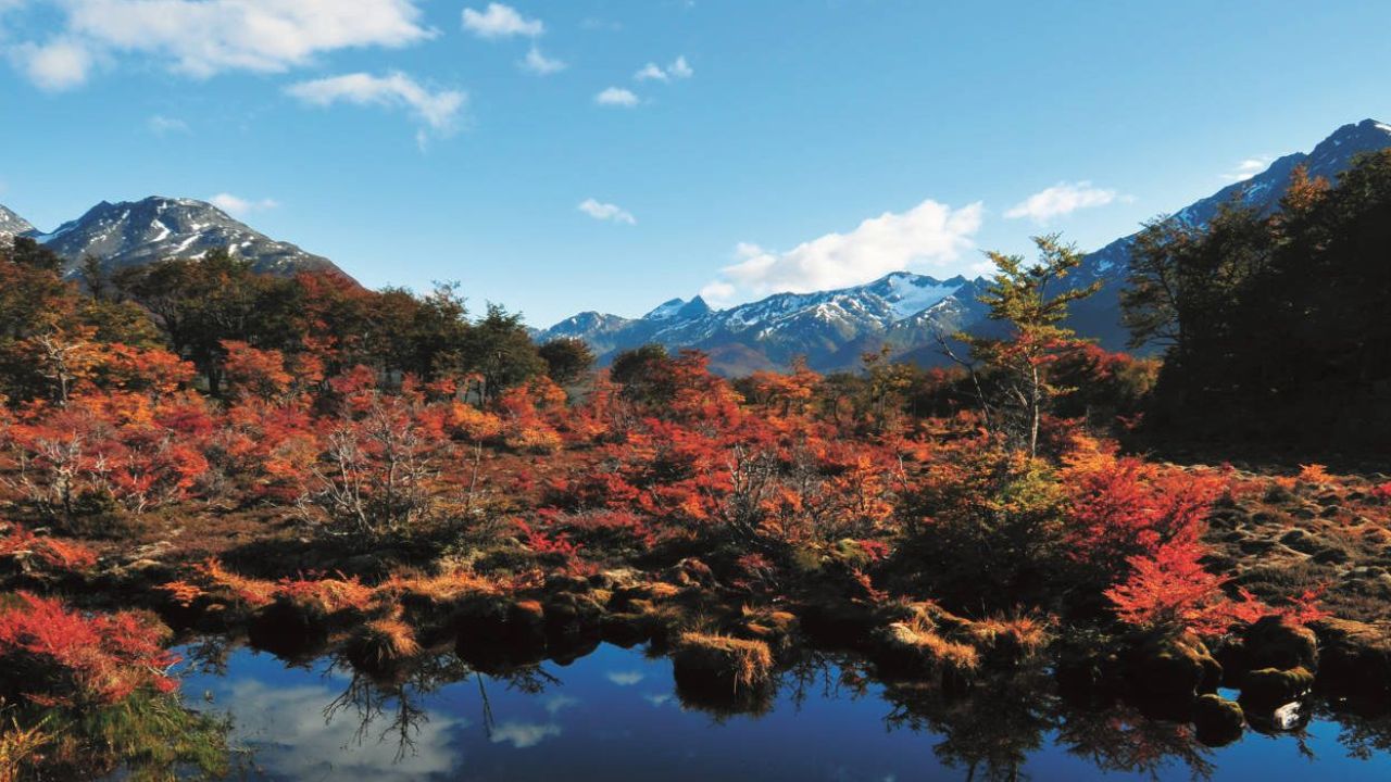Ushuaia : donde la tierra termina y el alma despierta Ushuaia : donde la tierra termina y el alma despierta
