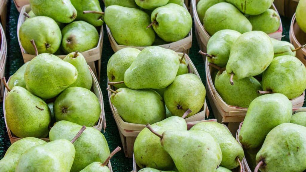 Los mejores ingredientes para consumir en agosto