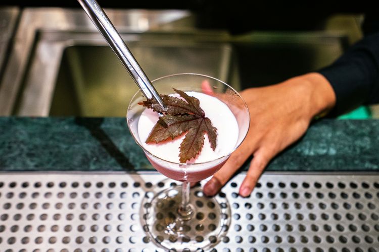 Alcohol vs. THC: ¿Cuál es la opción más saludable?