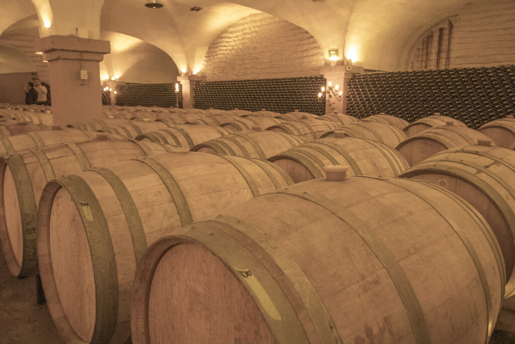 Bodegas Cetto celebra su tradicional Fiesta de Colores en el Valle de Guadalupe