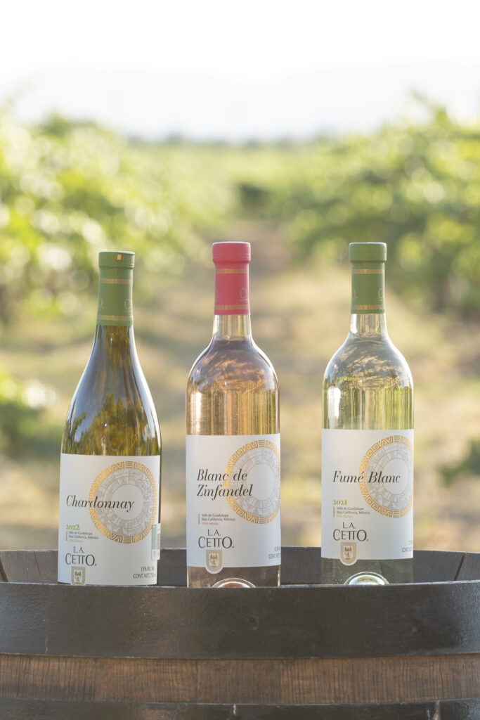 Bodegas Cetto celebra su tradicional Fiesta de Colores en el Valle de Guadalupe