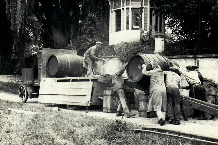 El viñedo que una vez curó a un arzobispo medieval — con Riesling