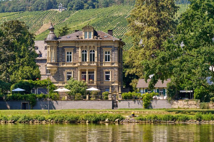 El viñedo que una vez curó a un arzobispo medieval — con Riesling